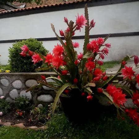 Hadjipopov House Guest house
