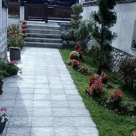 게스트하우스 Hadjipopov House 반스코