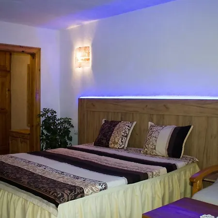 Hadjipopov House 게스트하우스 반스코