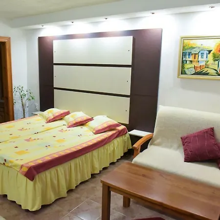 Hadjipopov House 게스트하우스